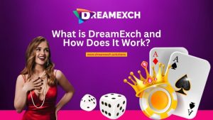 DreamExch betting guide